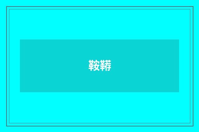 鞍鞯
