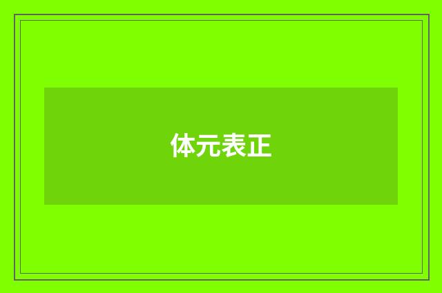体元表正