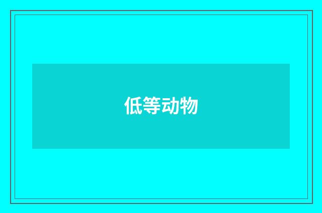 低等动物