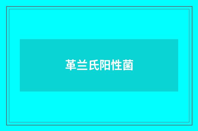 革兰氏阳性菌