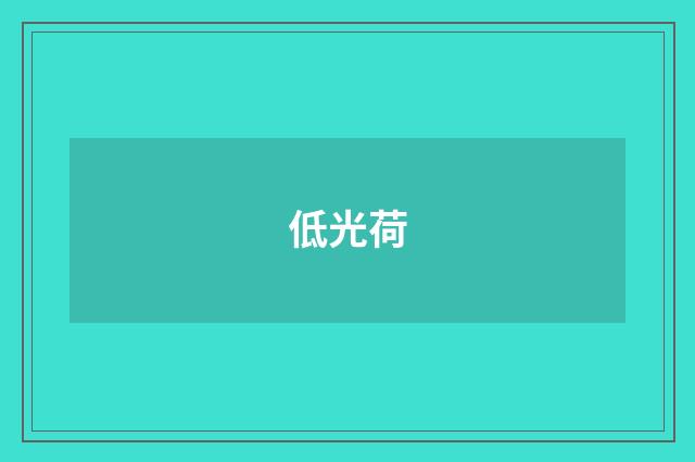 低光荷