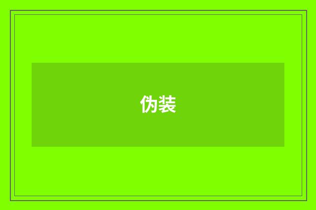 伪装