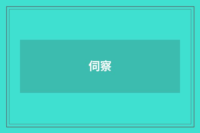 伺察