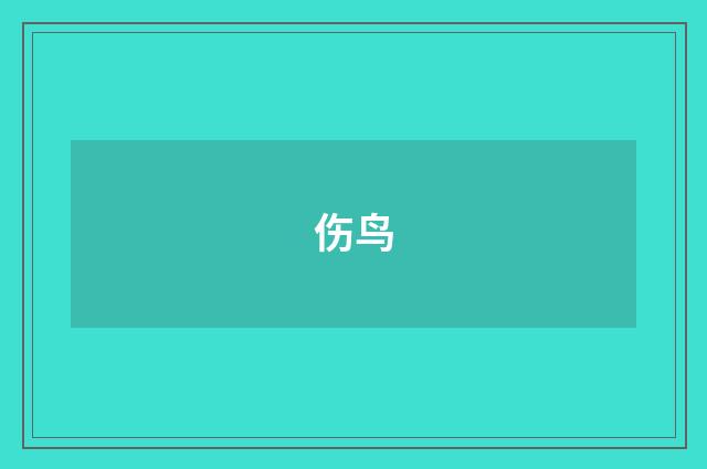 伤鸟
