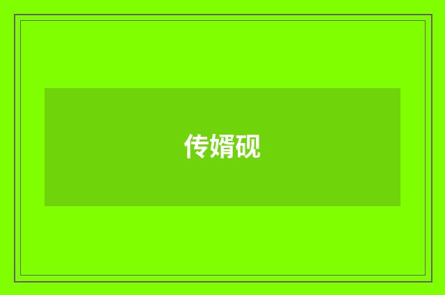 传婿砚