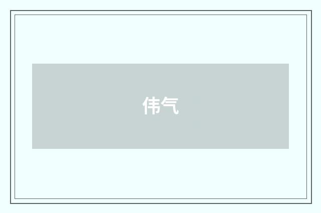 伟气