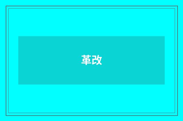 革改