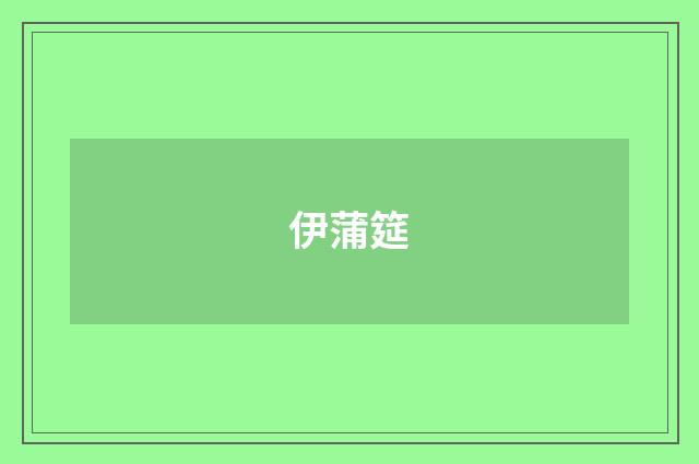 伊蒲筵