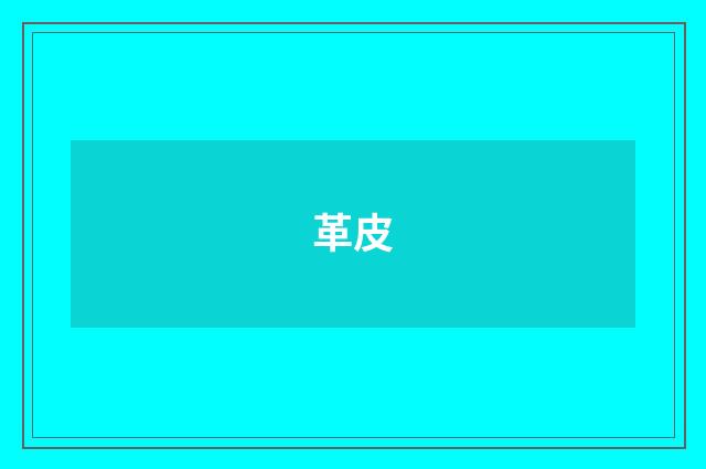 革皮