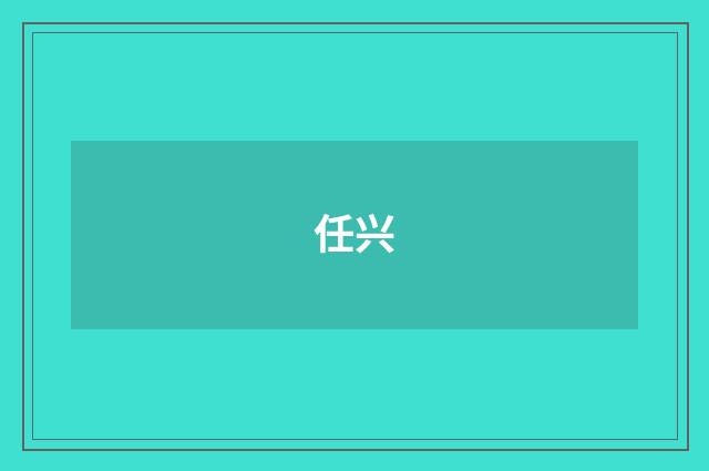 任兴