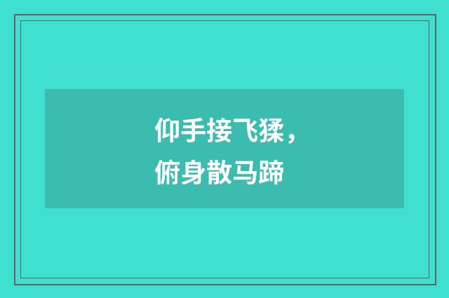 仰手接飞猱，俯身散马蹄