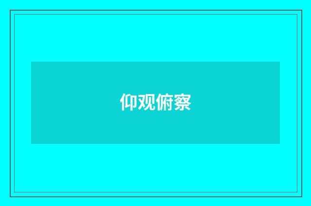 仰观俯察