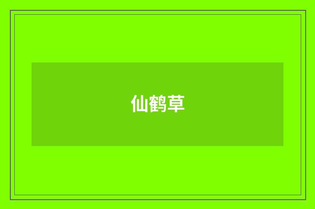 仙鹤草