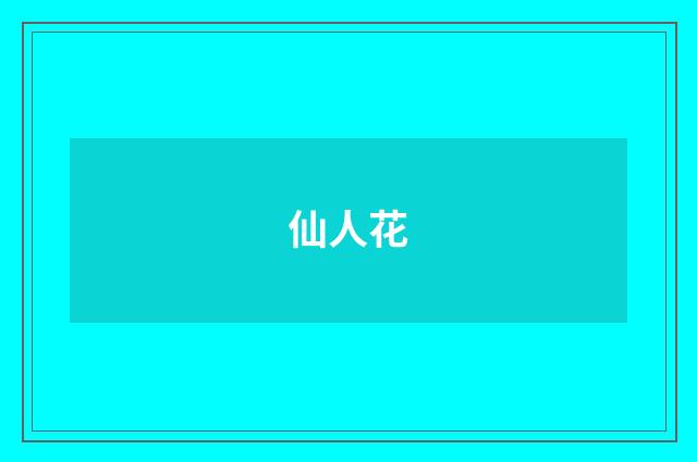 仙人花