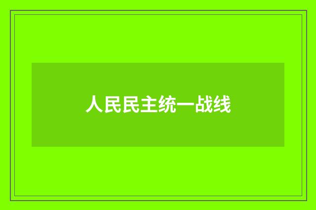 人民民主统一战线