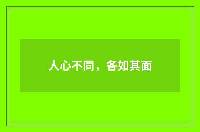 人心不同，各如其面
