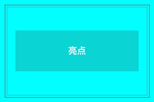 亮点