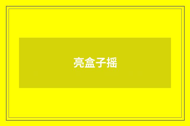 亮盒子摇