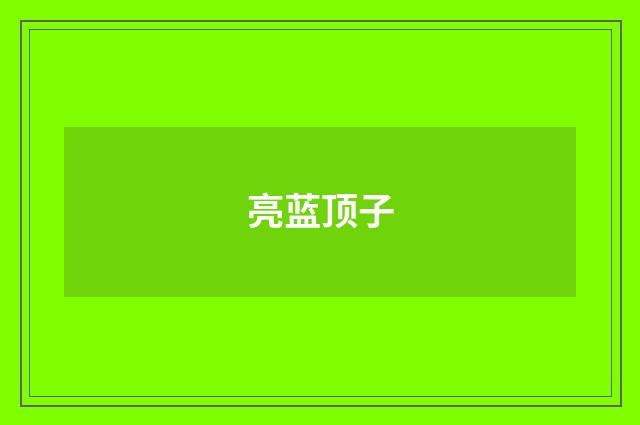 亮蓝顶子
