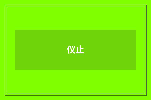 仪止
