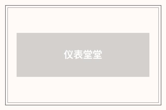 仪表堂堂
