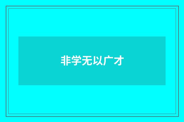 非学无以广才