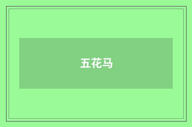 五花马