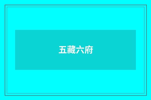 五藏六府