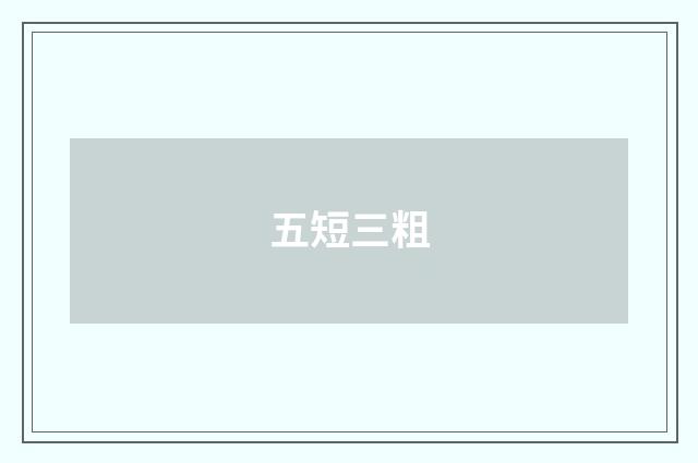五短三粗