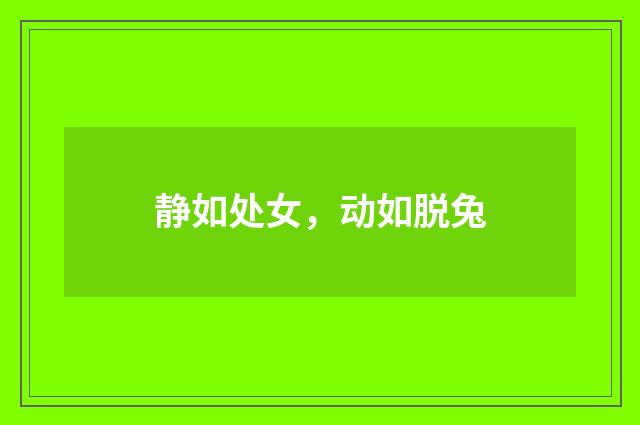 静如处女，动如脱兔