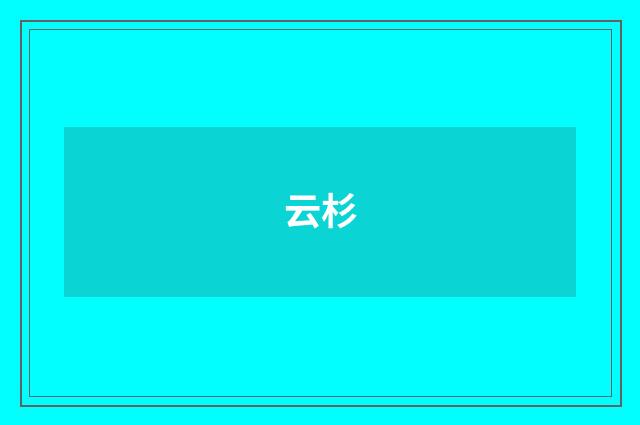 云杉