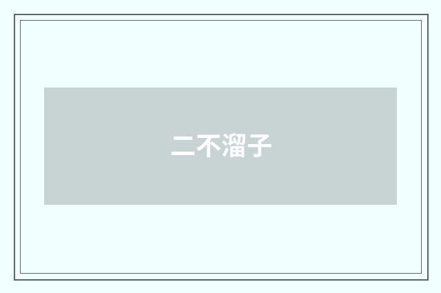二不溜子