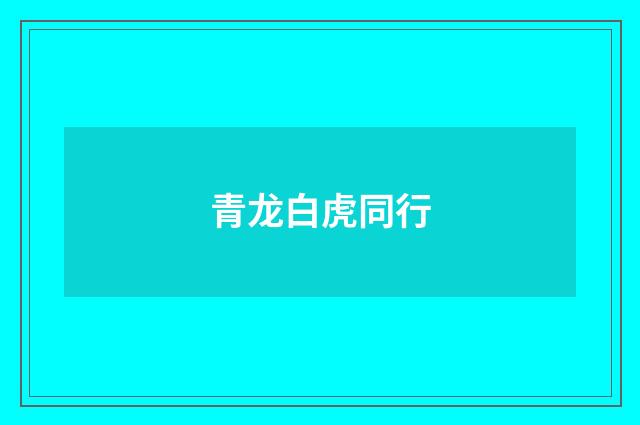 青龙白虎同行