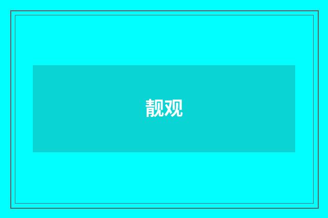 靓观