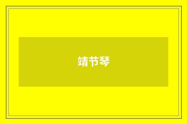 靖节琴