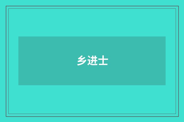 乡进士