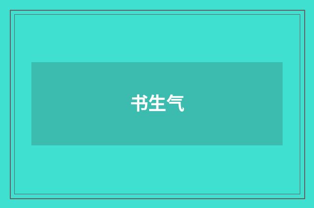书生气