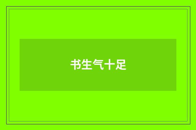 书生气十足