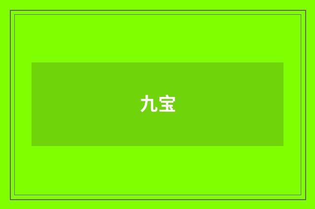 九宝