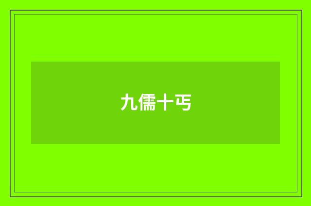 九儒十丐