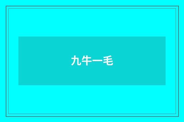 九牛一毛