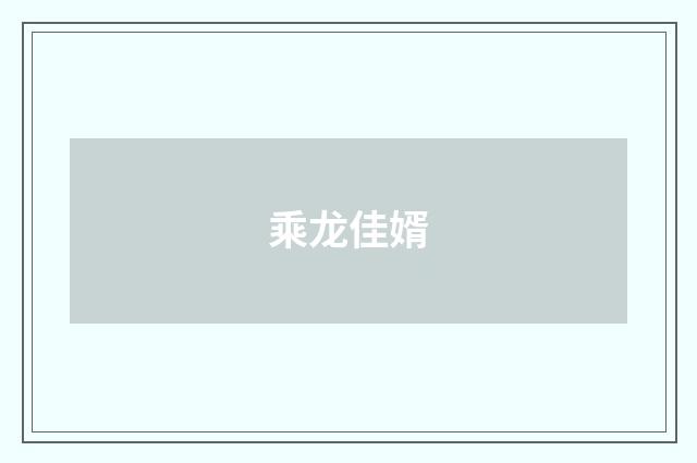 乘龙佳婿