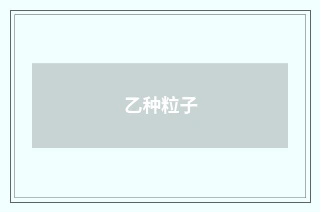 乙种粒子