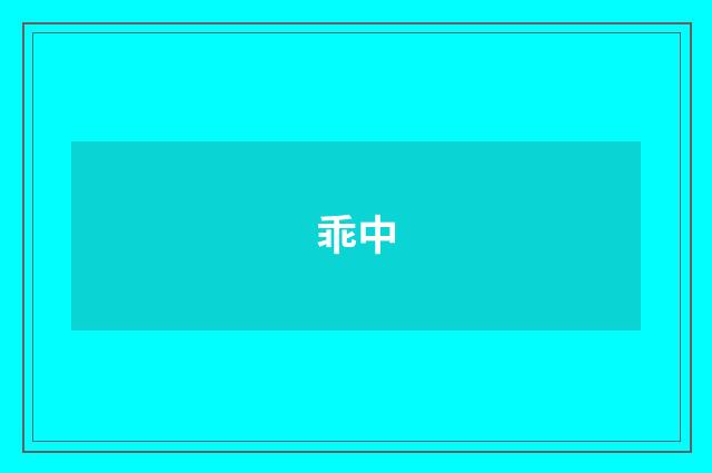 乖中