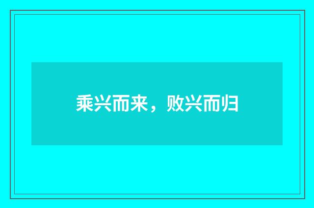 乘兴而来，败兴而归