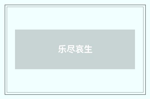 乐尽哀生