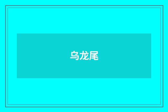 乌龙尾
