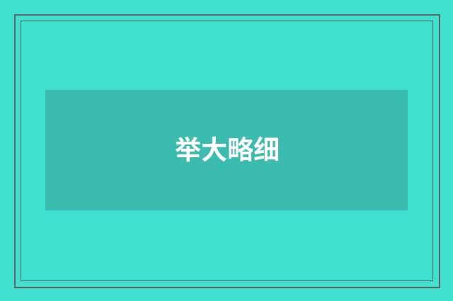 举大略细
