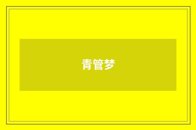 青管梦