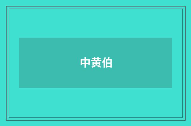 中黄伯